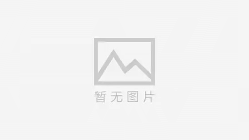 泰安女士的寻人之旅：如何找到离奇失踪的儿子